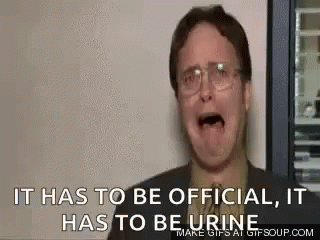 Dwight Schrute It Has To Be Official GIF - Dwight Schrute It Has To Be Official The Office GIFs