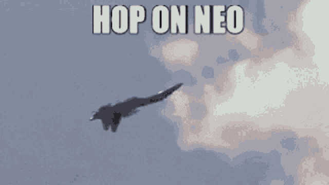 Neo Warfare Fard GIF - Neo Warfare Fard Neo GIFs
