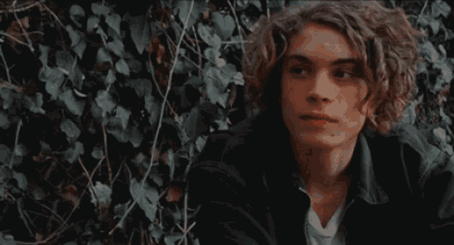 a young man with curly hair is sitting in front of a leafy wall