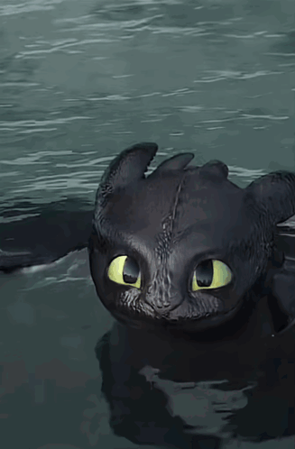 How To Train Your Dragon Toothless GIF - How To Train Your Dragon Toothless Toothless Dragon GIFs