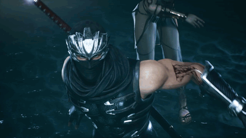 ryu-hayabusa-ninja-gaiden-2-black.gif