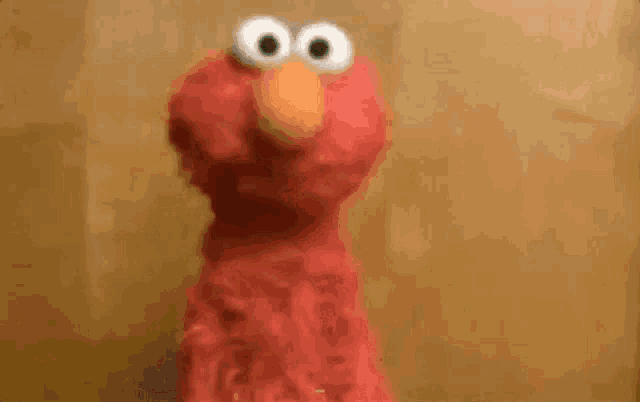 elmo from sesame street is standing in front of a wooden wall and says tanto faz .