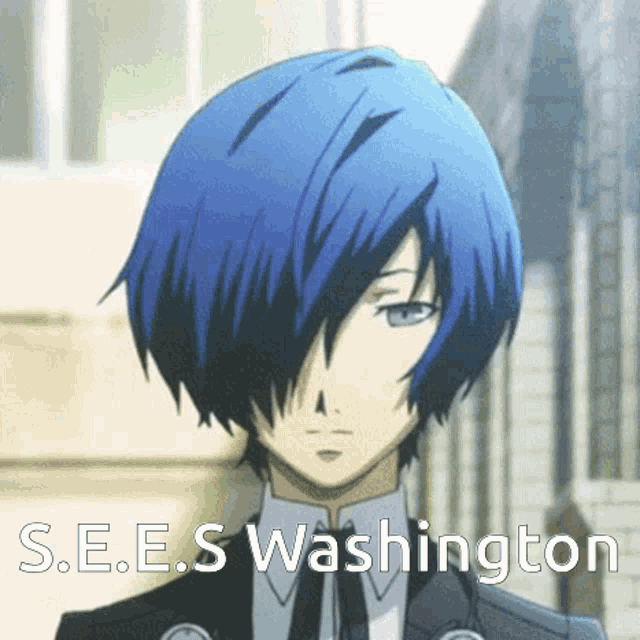 a blue haired anime character with the words s.e.e.s. washington written below him