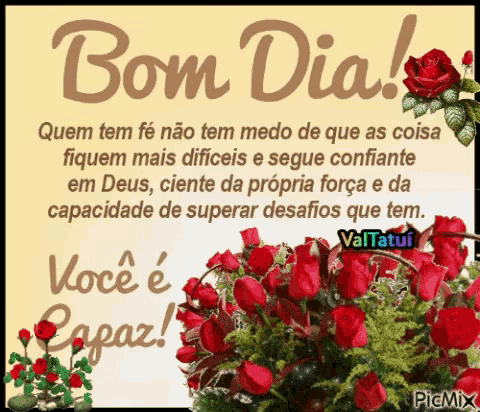 a picture of a bunch of red roses with the words bom dia