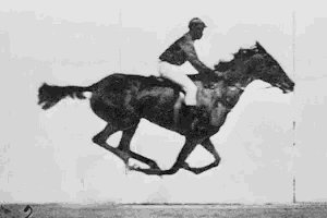 a black and white photo of a person riding a horse .