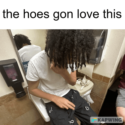 a picture of a person on a toilet with the caption " the hoes gon love this "