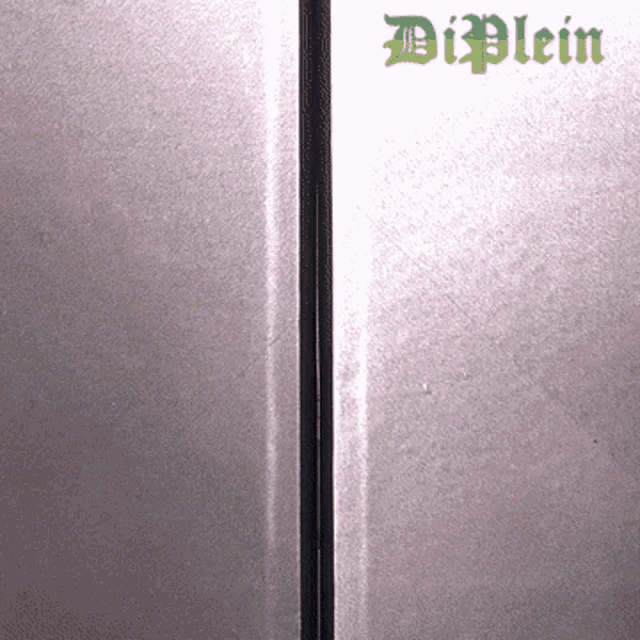 Diplein Camera GIF - Diplein Camera Elevator GIFs
