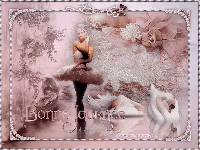 a picture of a ballerina and swans with the words bonne journee