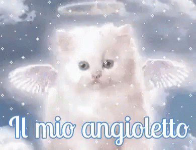 Angioletto Sei Un Angelo Grazie Grazie Mille Perfetto Ti Adoro Ti Voglio Bene Il Mio Angioletto GIF - Little Angel Thank You Thanks GIFs