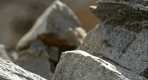 a close up of a pile of rocks with the sun shining on them