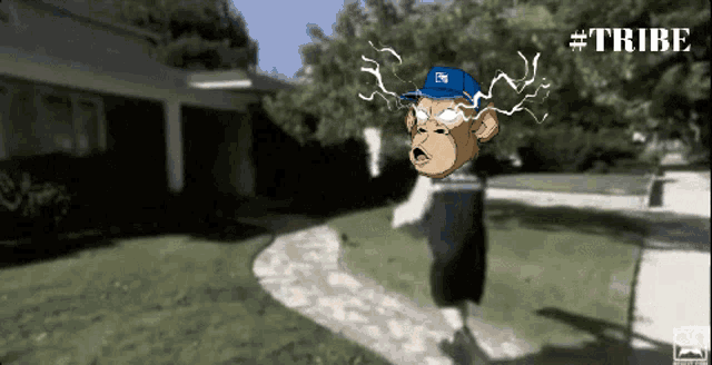 a cartoon of a monkey wearing a blue hat with the word tribe on it