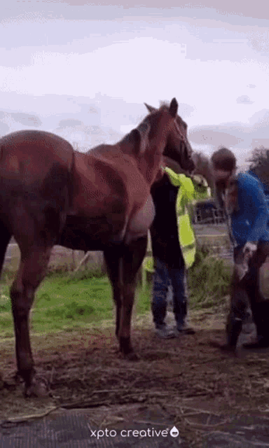 a man in a yellow vest is standing next to a brown horse ..