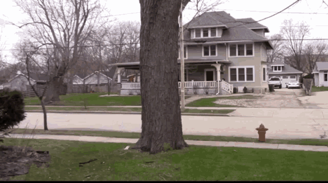 Vanilla Bizcotti GIF