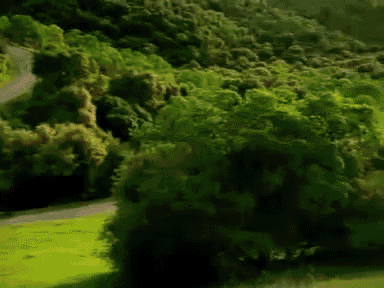 Peaceful Scenery GIF - Surprise Landscape Green GIFs