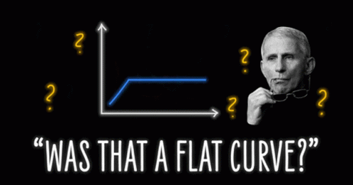 Was That A Flat Curve Anthony Fauci GIF - Was That A Flat Curve Anthony Fauci Crooked Media GIFs