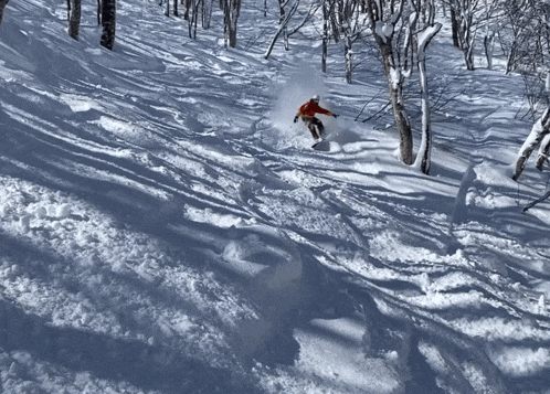 a person in a red jacket is skiing down a snowy slope