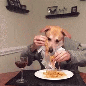 吃面 搞笑 狗狗 GIF - Eat Noodle Funny Dog GIFs
