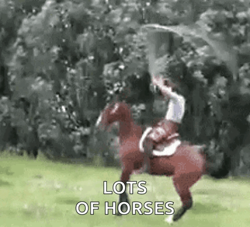 Equestrian Horse GIF