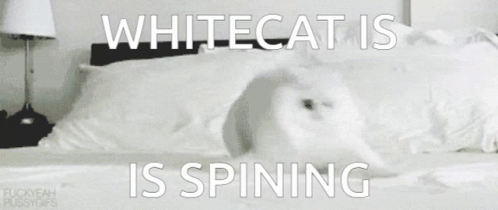 Osu Whitecat Osu GIF - Osu Whitecat Osu Whitecat GIFs