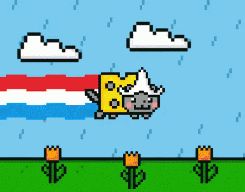 Dutch GIF - Dutch Nyan Cat Flying Raining GIFs