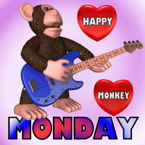 Happy Monday Happy Monday Morning GIF - Happy Monday Happy Monday Morning Monkey Monday GIFs