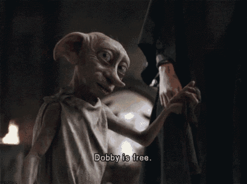a cartoon character says dobby is free