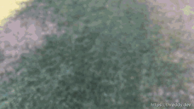 a blurred image of a person 's face with the website https://thready.dev visible