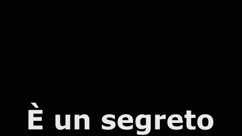 Segreto è Un Segreto Silenzio Acqua In Bocca Non Dirlo A Nessuno Zitta GIF - Secret Its A Secret Silence GIFs