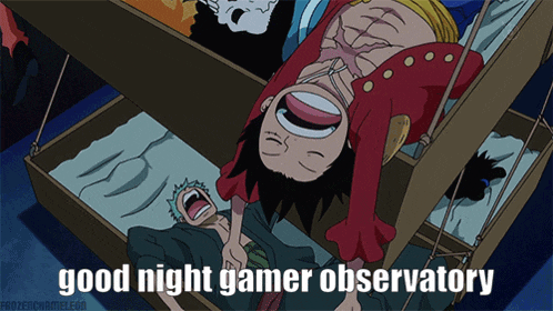 a cartoon of monkey d luffy and roronoa zoro with the words good night gamer observatory above them