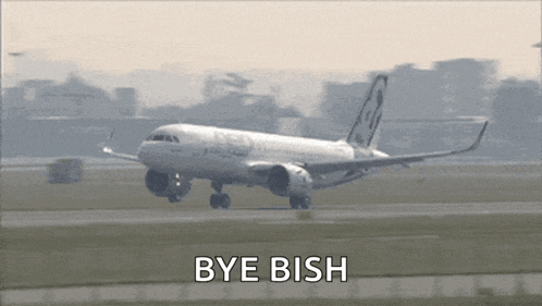 an airplane is taking off and the words bye ish are written below it