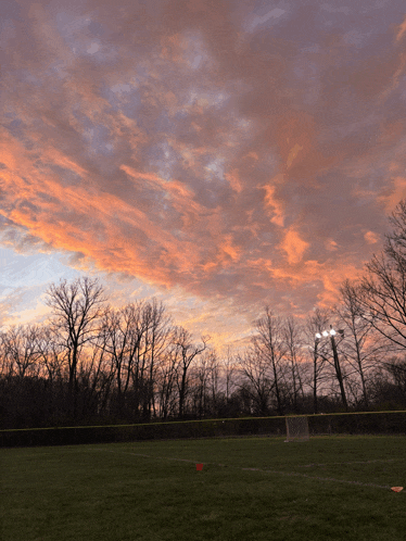 a field with a sunset in the background