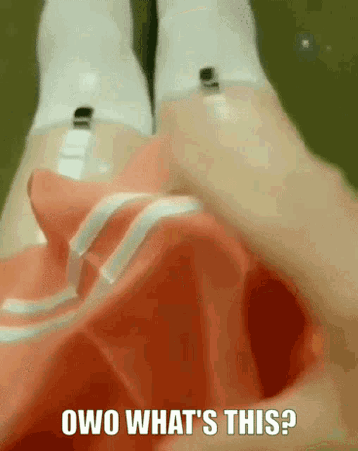 a close up of a person 's legs with the caption owo what 's this