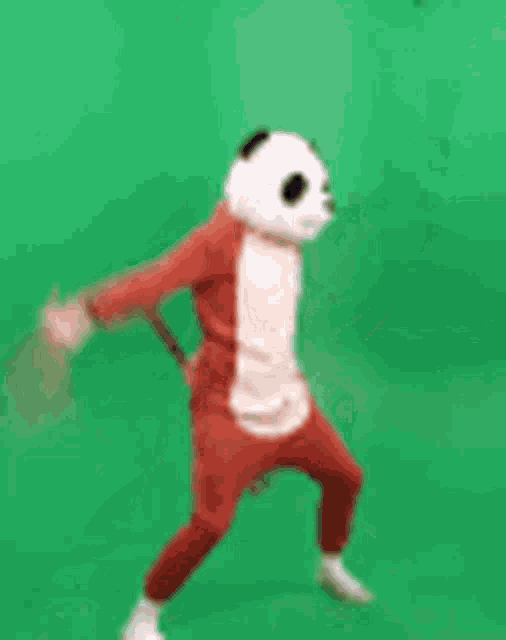 Panda Kung Fu GIF - Panda Kung Fu Pose GIFs