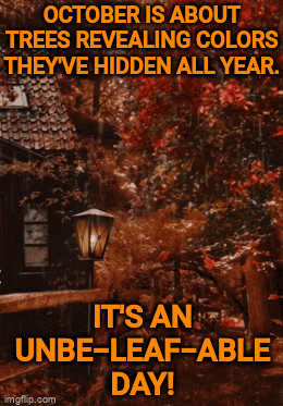 October Good Day GIF - October Good Day GIFs