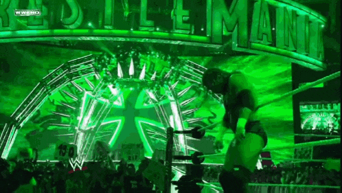 a wrestling match is taking place in front of a crowd at the royal rumble .