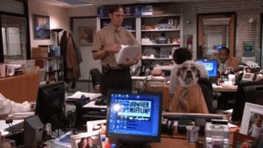 The Office Dwight GIF - The Office Dwight Stare GIFs