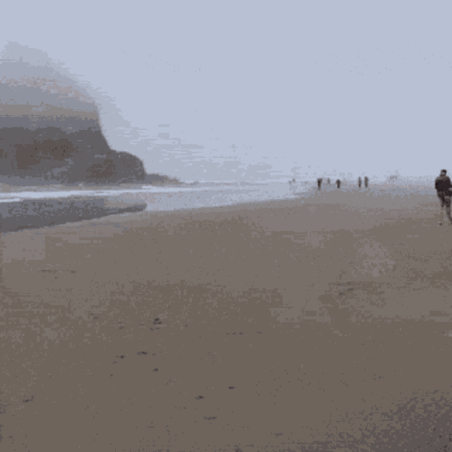 a man in a black shirt is standing on a sandy beach near the ocean