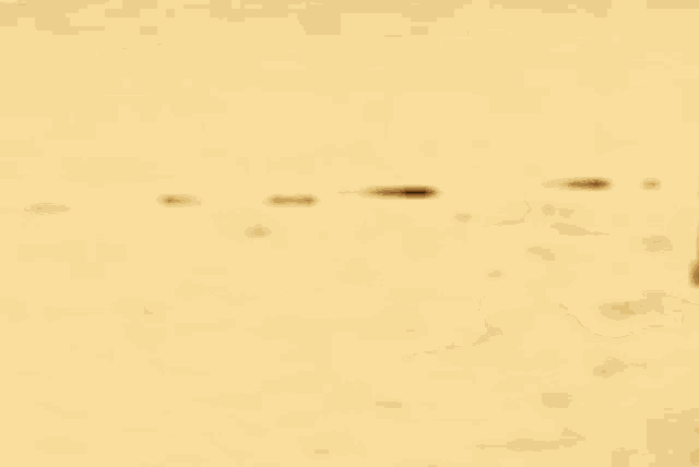 a blurry picture of a person playing soccer on a sandy field
