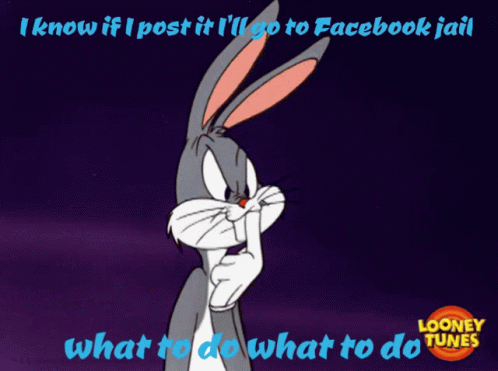 Facebook Jail Post GIF - Facebook Jail Post Funny Animal GIFs