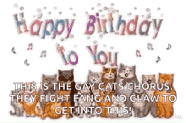 a birthday card with a bunch of cats and the words `` happy birthday to you '' .