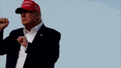 donald trump is wearing a red hat that says america great again