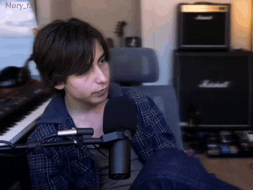a man in a plaid shirt is sitting in front of a microphone with a marshall amplifier in the background