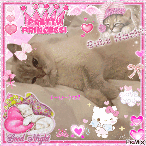 a cat laying on a bed with the words pretty princess written above it