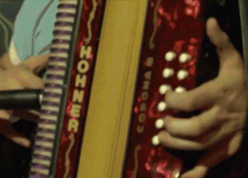a person playing a red hohner accordion