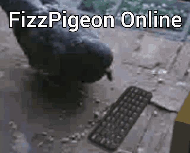 Fizzpigeon GIF - Fizzpigeon GIFs