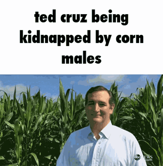 a picture of ted cruz in a corn field