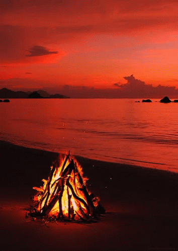 Fireplace Bonfire GIF - Fireplace Bonfire Sea GIFs