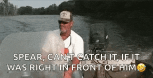Fish Fishing GIF