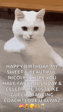 a white cat is sitting on the floor with a birthday message written on it .