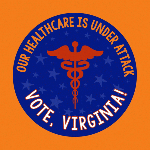 Virginia Voter Richmond GIF - Virginia Voter Richmond Virginia Election GIFs